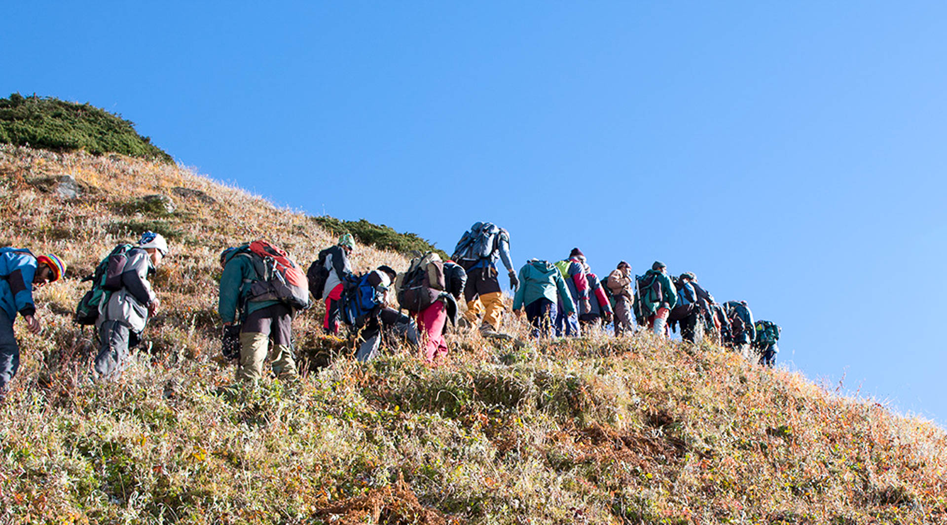  Unicoadmission mountaineering course consultant